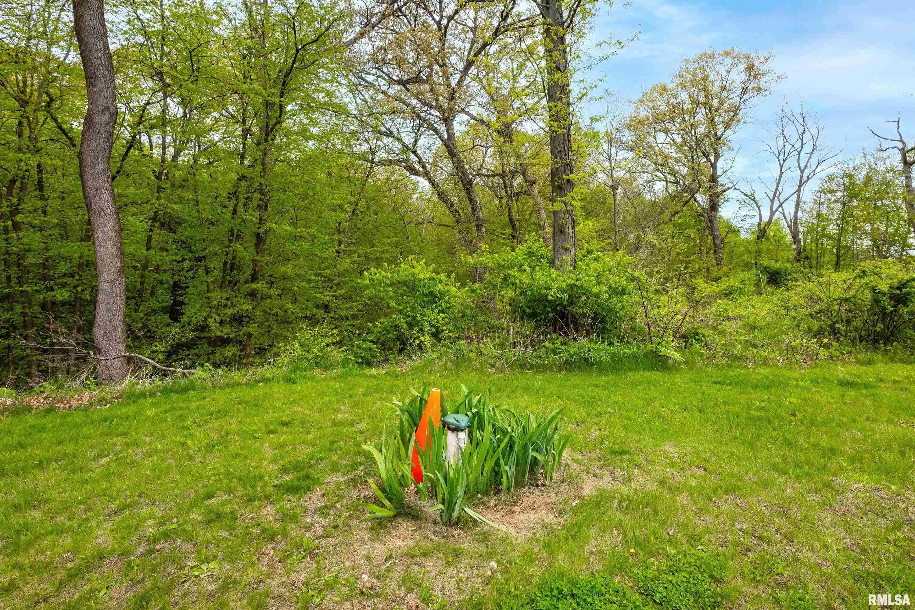 25910 Angel Ferry Road Geneseo, IL 61254 - Photo 20 of 41 Gallery Image 20
