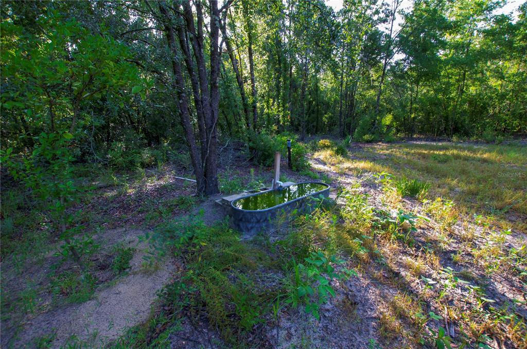 18233 185th Road Live Oak, FL 32060 - Photo 59 of 99