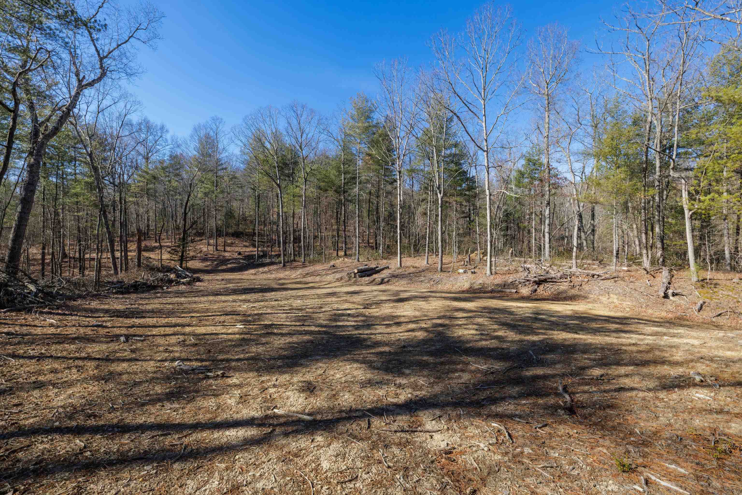 24.97-ac Stribling Springs Road Mount Solon, VA 22843 - Photo 8 of 34 a view of street with trees