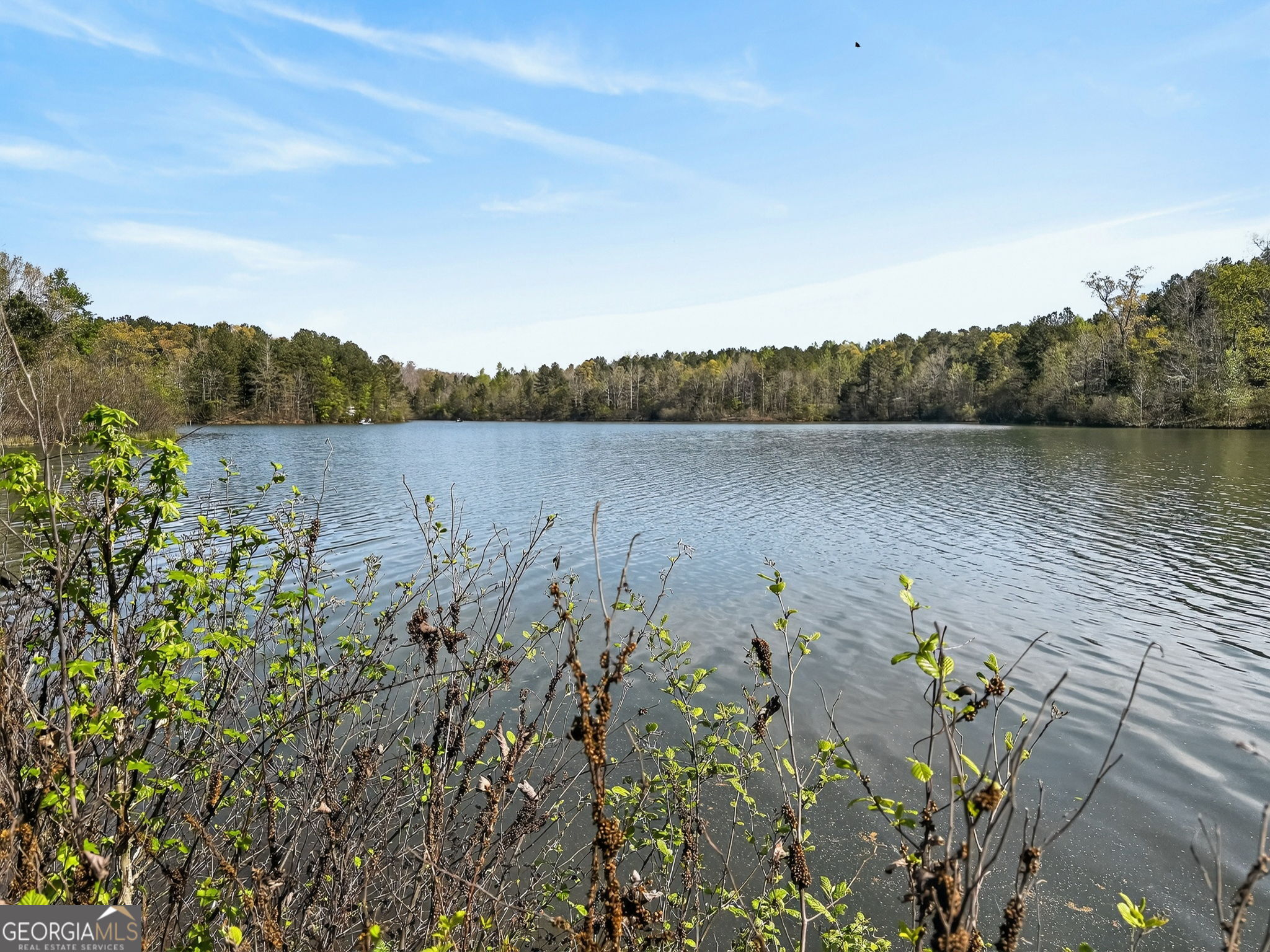 955 Mocassin Gap Road Locust Grove, GA 30248 - Photo 54 of 59 a view of a lake with a mountain in the background