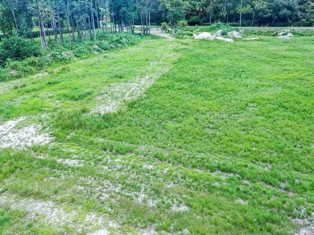 a view of outdoor space with deck and yard
