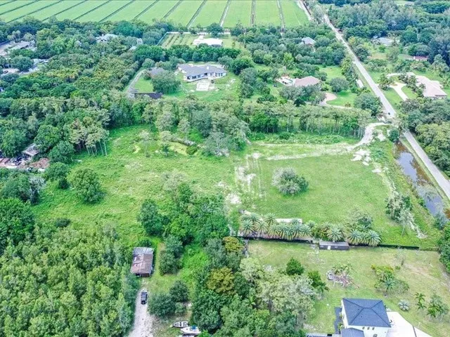 a view of a lush green forest with lots of trees