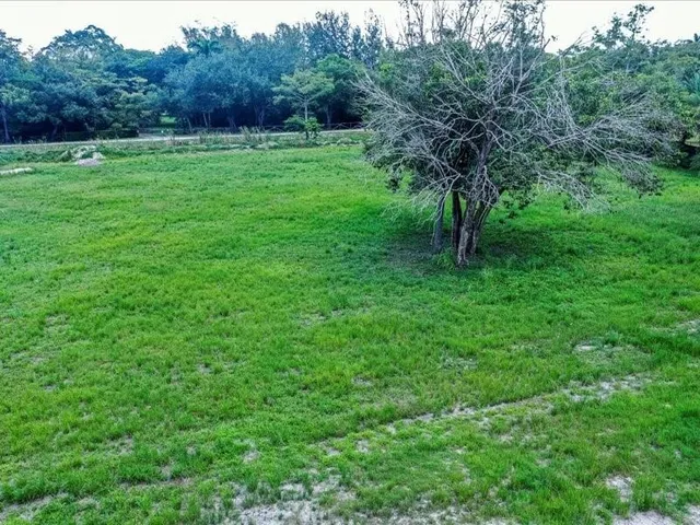 a view of outdoor space with deck and yard