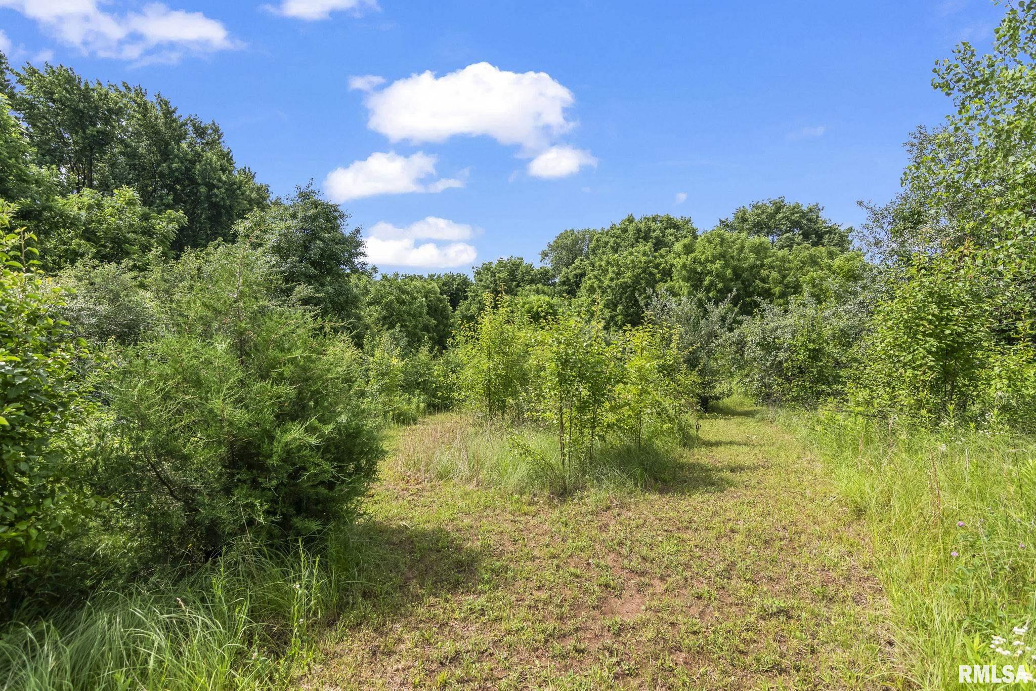1850 East Barber Road Sherman, IL 62684 - Photo 54 of 65
