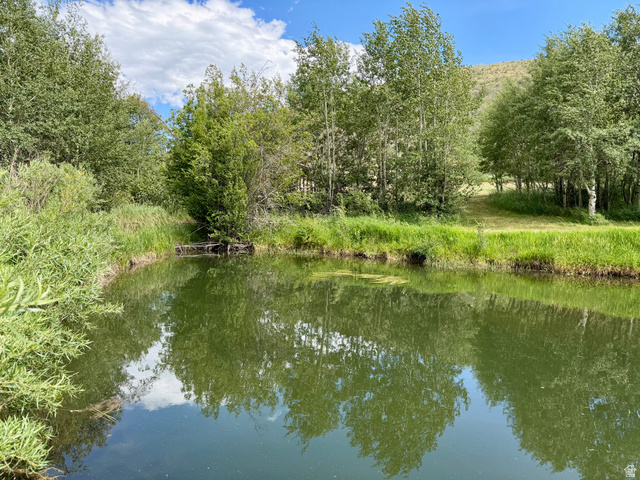 1133 Paris Canyon Road Paris, ID 83261 - Photo 50 of 75 Pond featuring green water, lush green vegetation, and distant trees