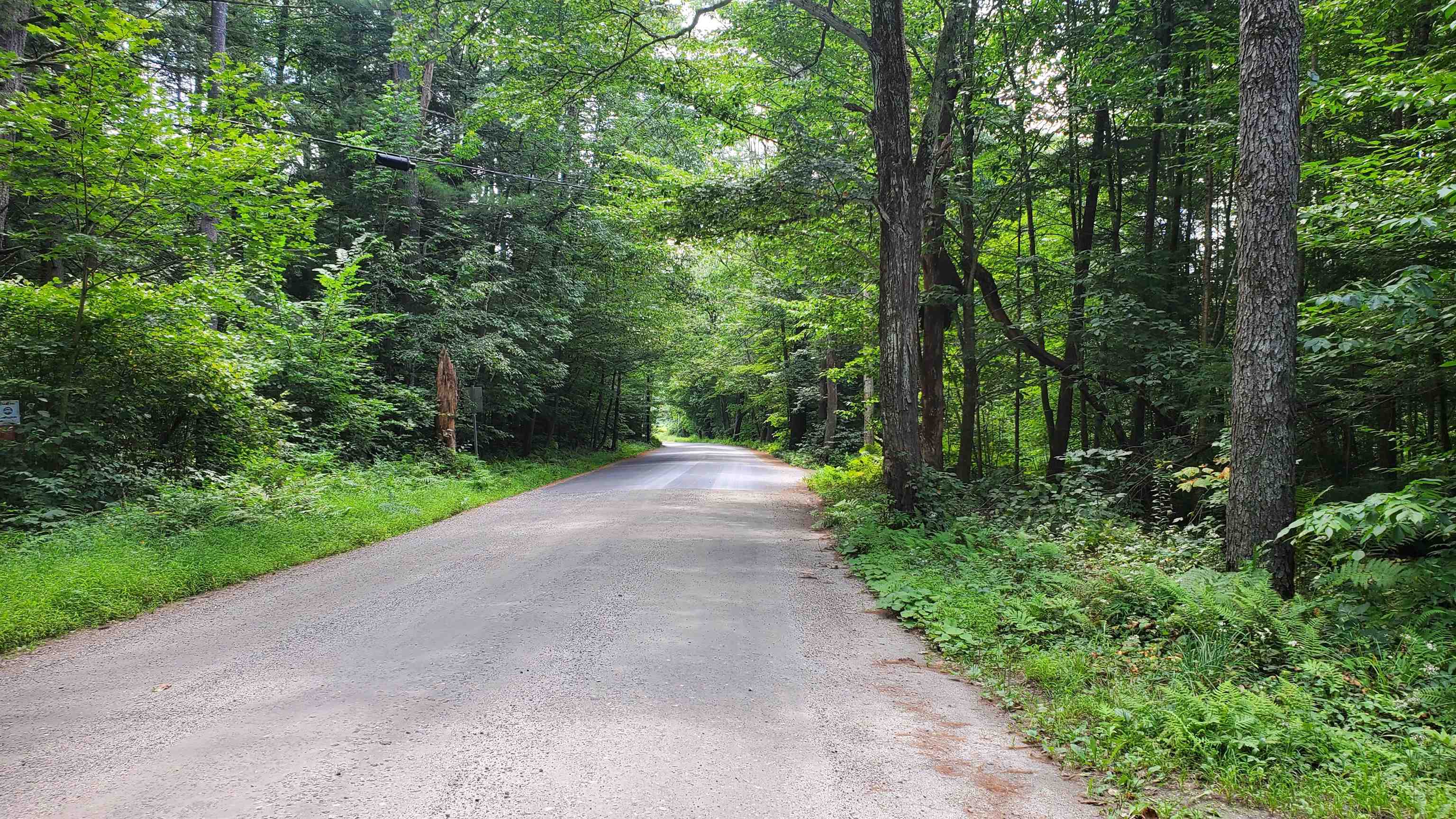 401 Lovers Ln Road Chester, VT 05143 - Photo 2 of 24