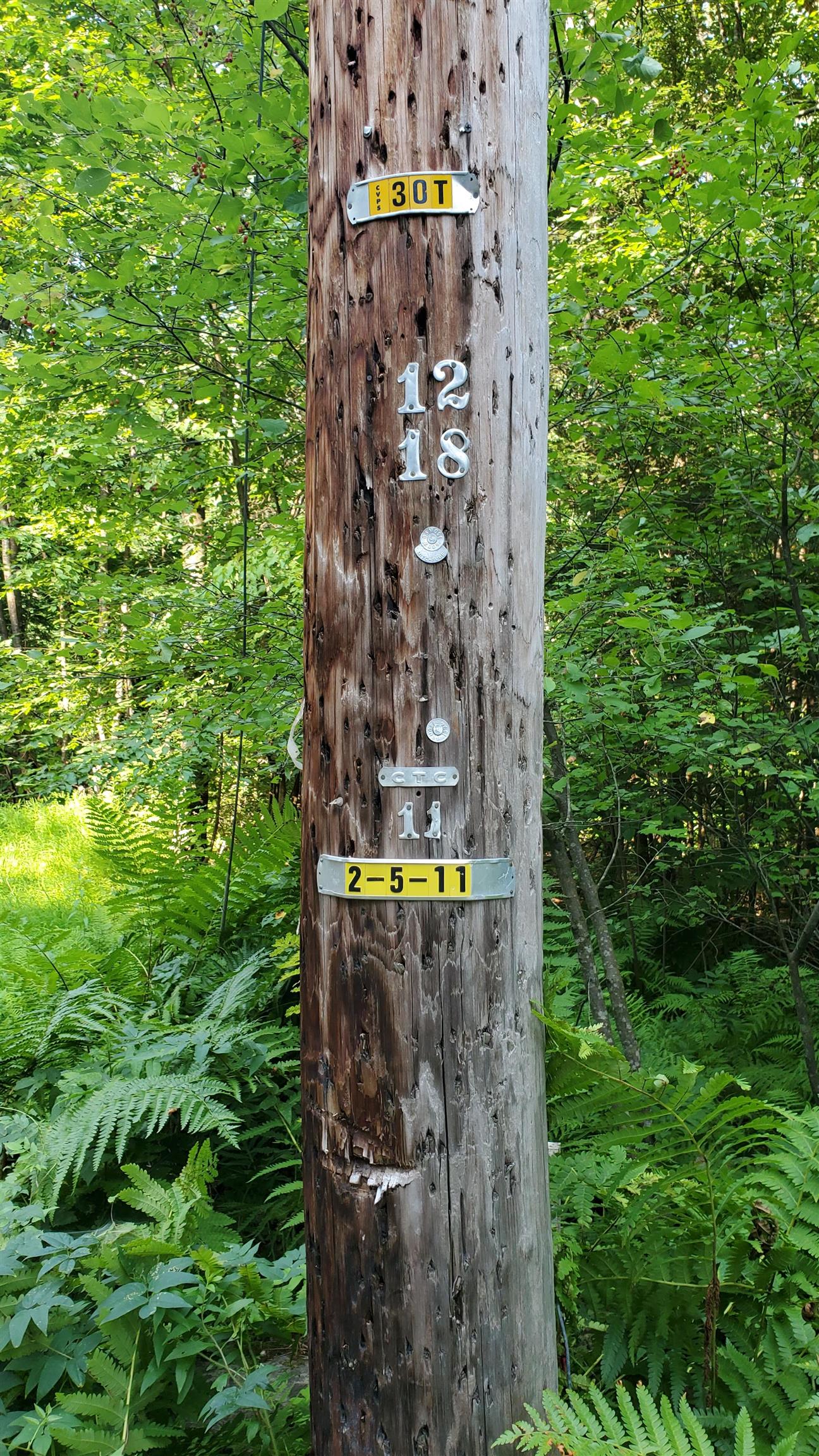 401 Lovers Ln Road Chester, VT 05143 - Photo 6 of 24
