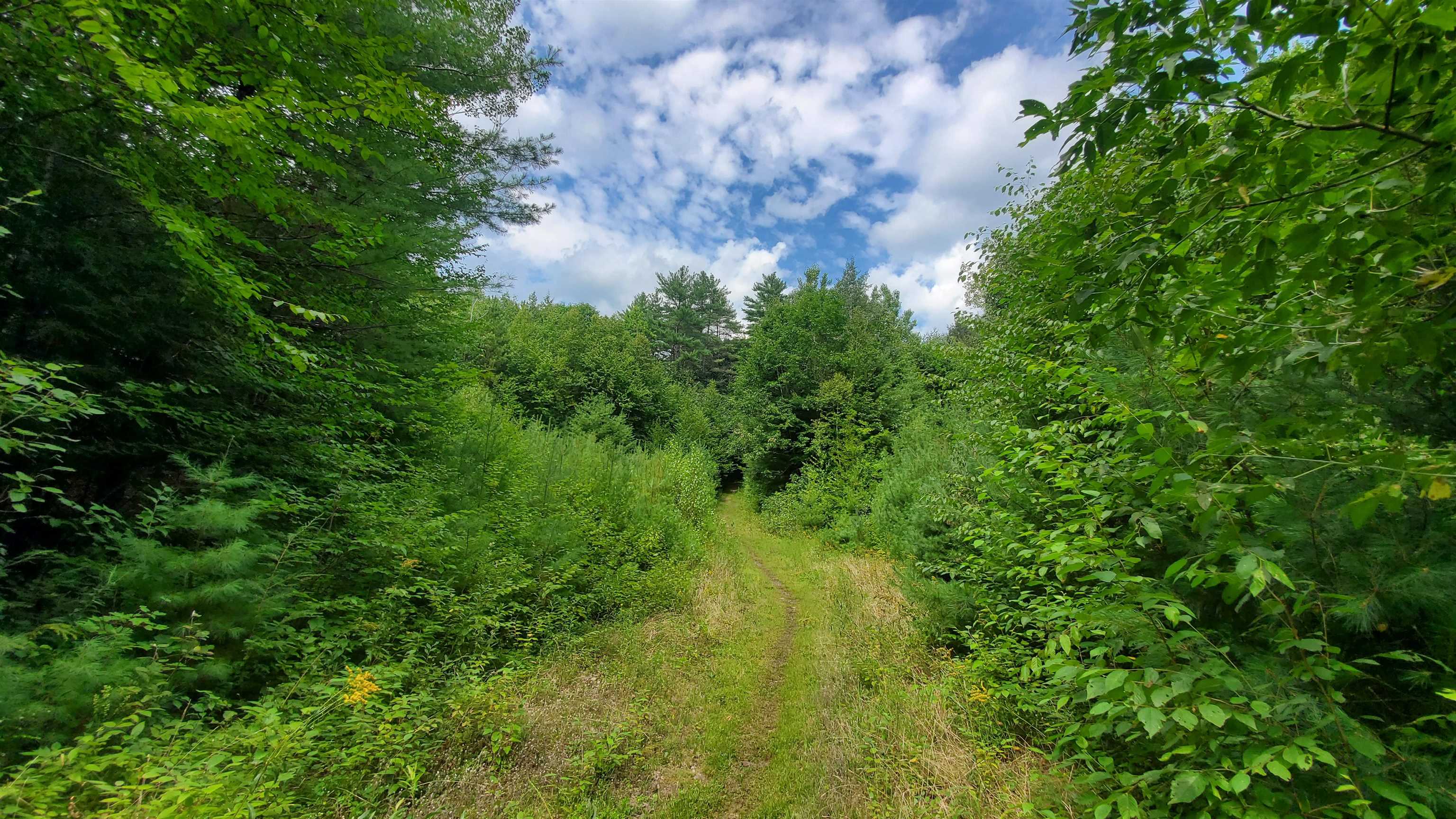 401 Lovers Ln Road Chester, VT 05143 - Photo 9 of 24