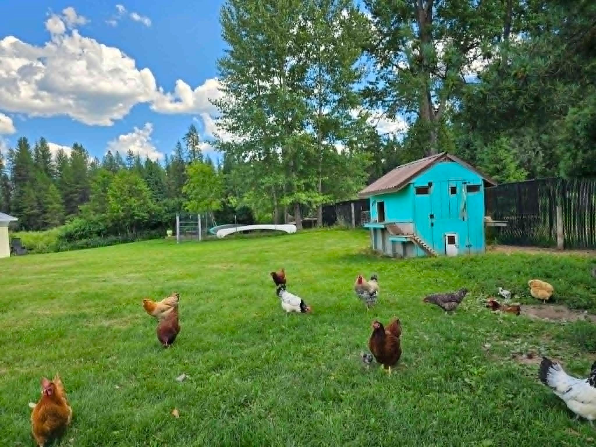 29132 Yaak River Road Troy, MT 59935 - Photo 41 of 73 Gallery Image 41