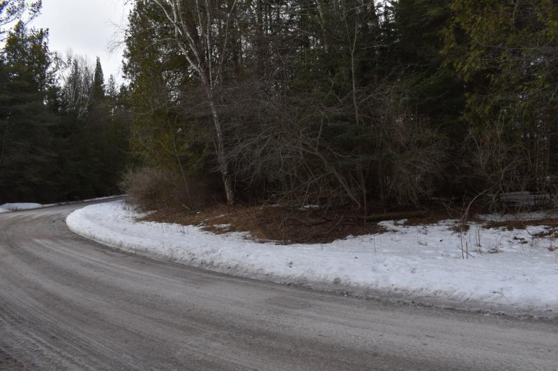 Nhn North Ridge Road Black River, MI 48721 - Photo 3 of 4 Gallery Image 3
