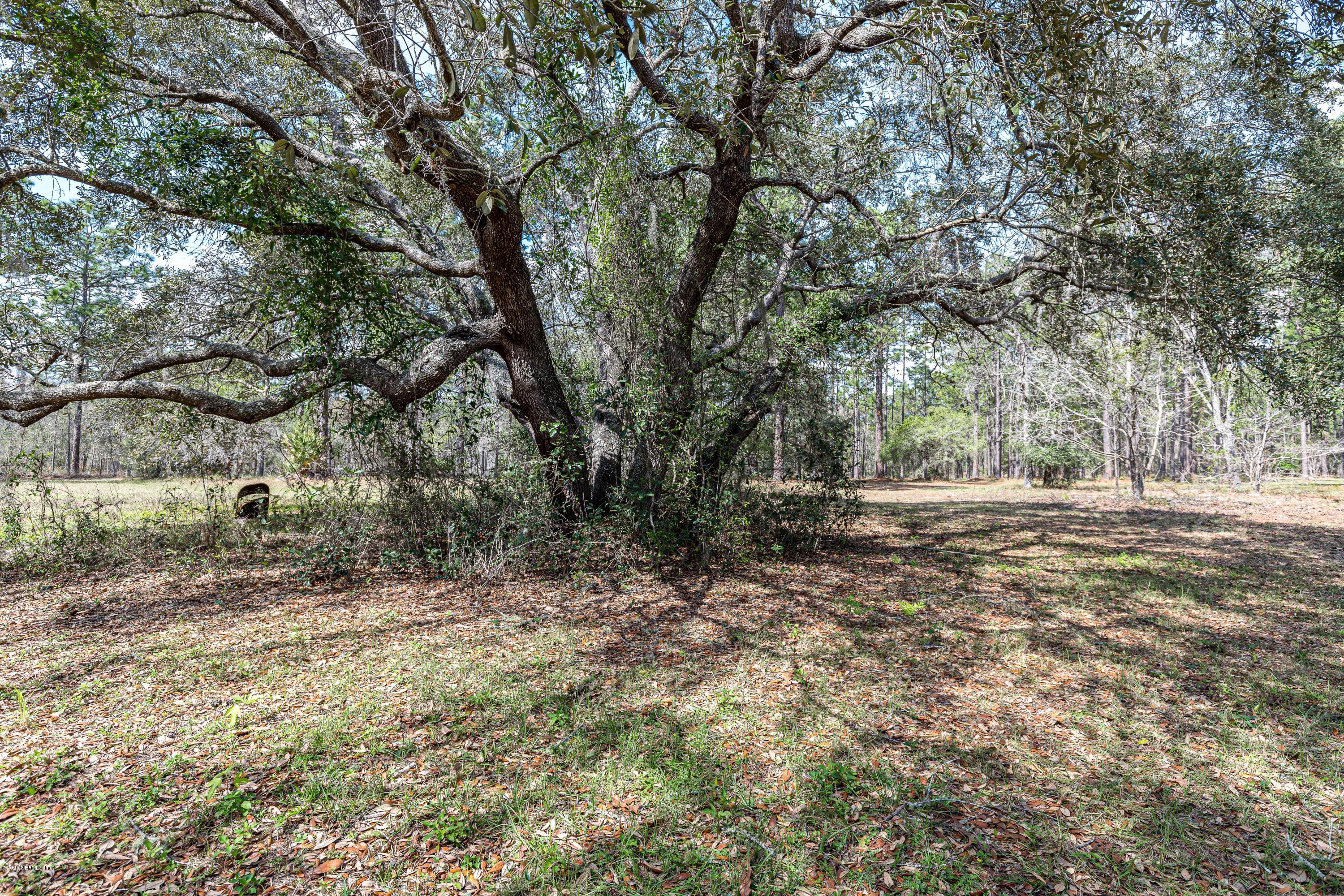 7750 Ranchette Road Keystone Heights, FL 32656 - Photo 59 of 70 Mature Trees