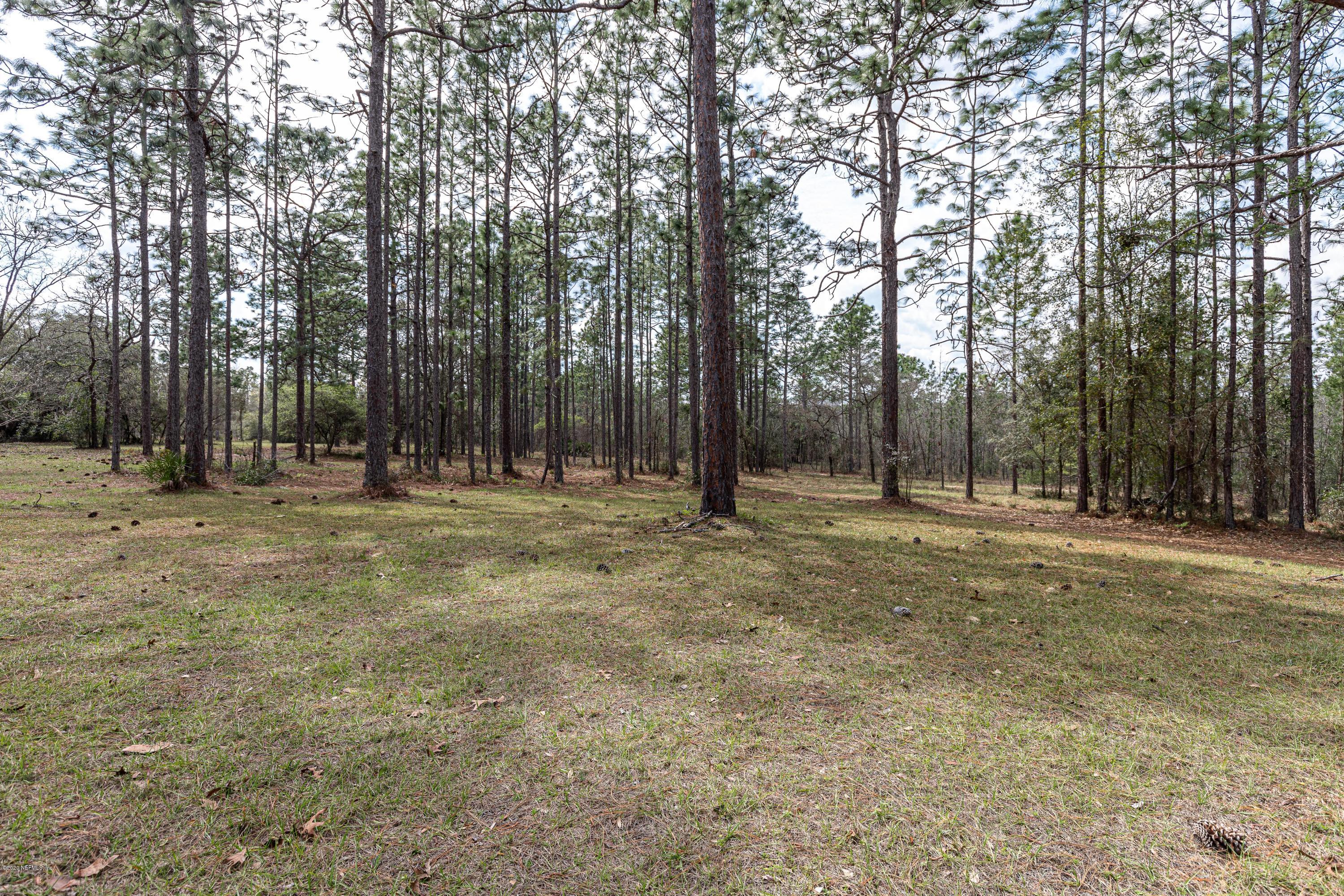 7750 Ranchette Road Keystone Heights, FL 32656 - Photo 63 of 70 Back Yard View 4