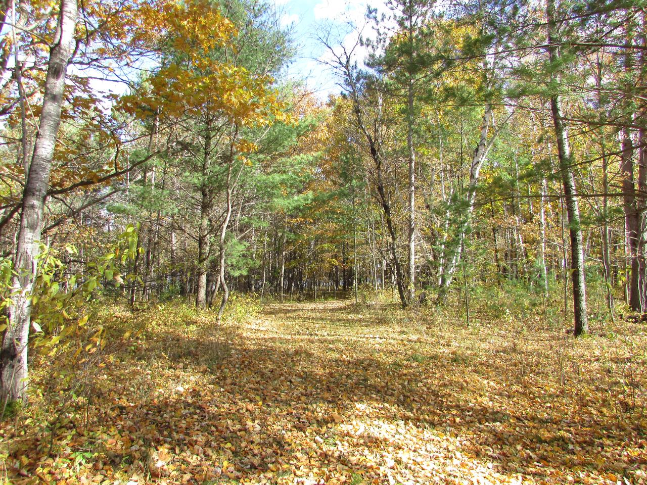 On White Birch Road Woodruff, WI 54568 - Photo 18 of 18 Gallery Image 18
