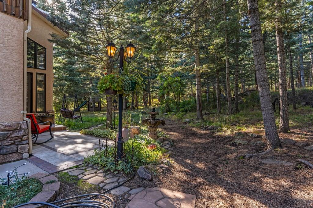 8262 William Drive Rye, CO 81069 - Photo 64 of 100 Gallery Image 64