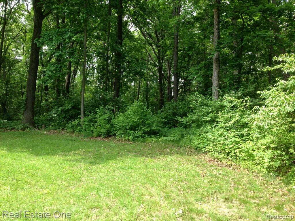 9435 Mabley Hill Road Fenton, MI 48430 - Photo 31 of 32