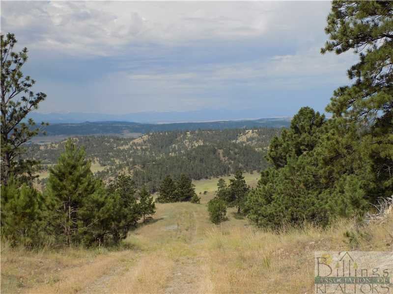 Land/Lot. Great views.