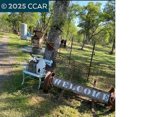 a view of a back yard