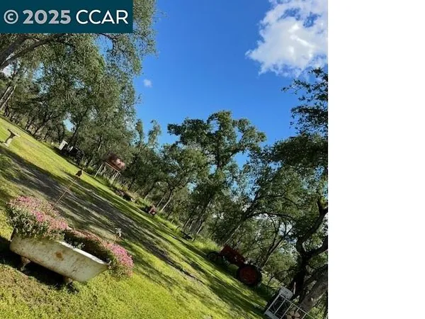 a view of a park that has large trees