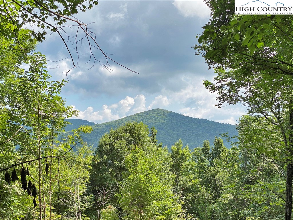Spring Mountain Trail Boone, NC 28607 - Photo 1 of 13 Gallery Image 1