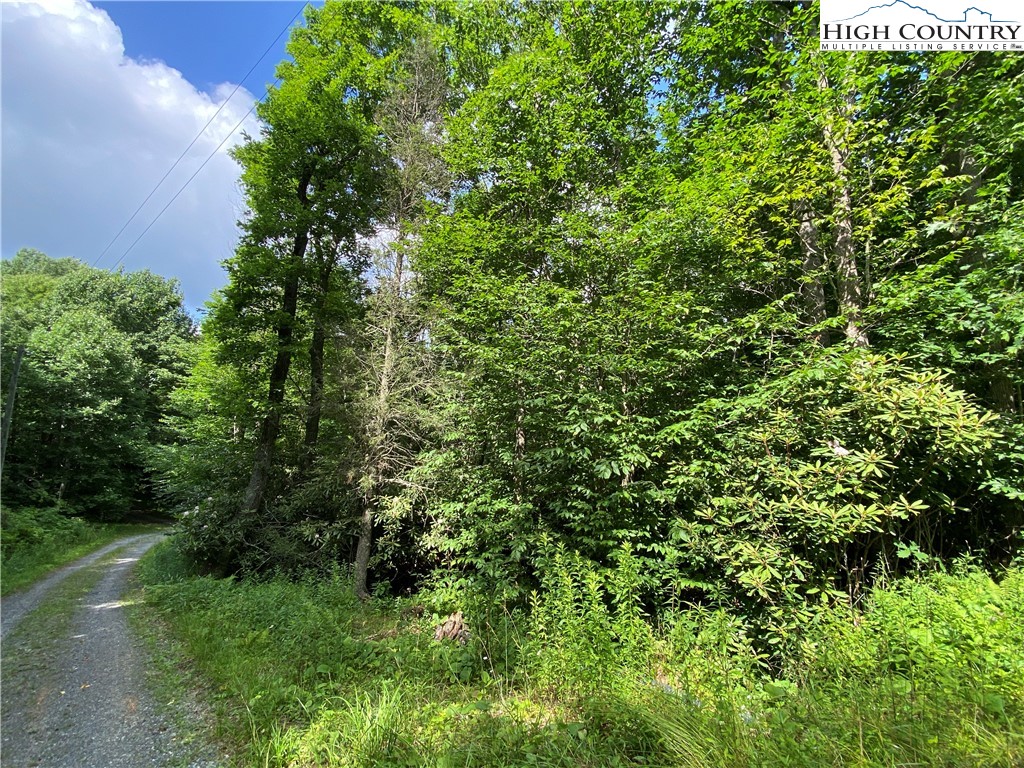 Spring Mountain Trail Boone, NC 28607 - Photo 11 of 13 Gallery Image 11
