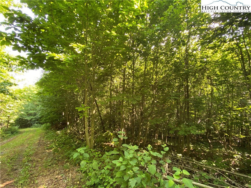 Spring Mountain Trail Boone, NC 28607 - Photo 12 of 13 Gallery Image 12