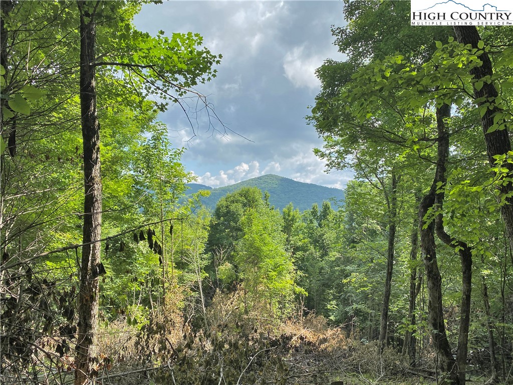 Spring Mountain Trail Boone, NC 28607 - Photo 2 of 13 Gallery Image 2