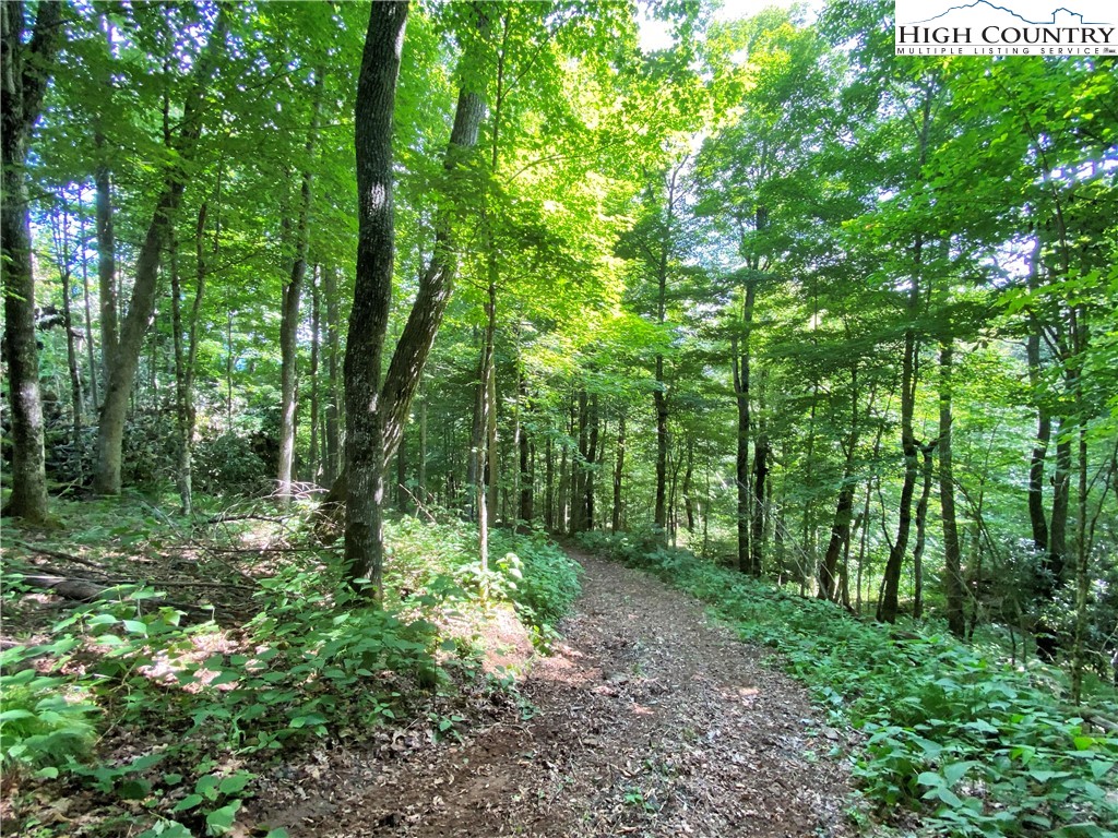 Spring Mountain Trail Boone, NC 28607 - Photo 3 of 13 Gallery Image 3