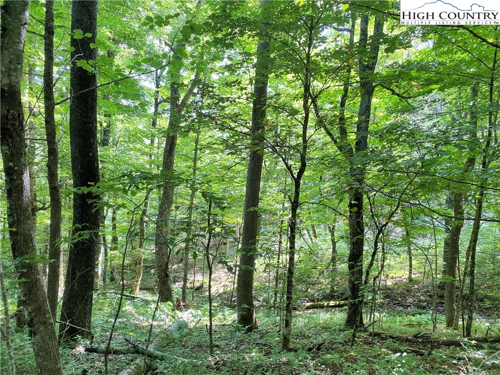 Spring Mountain Trail Boone, NC 28607 - Photo 5 of 13 Gallery Image 5