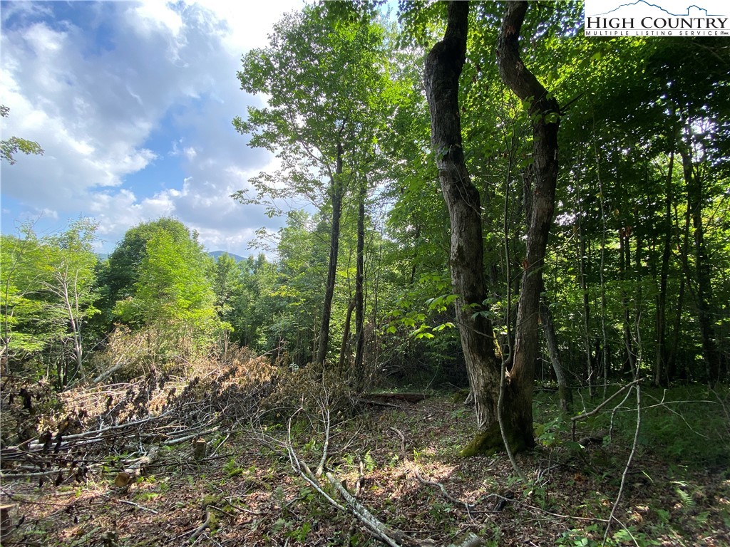 Spring Mountain Trail Boone, NC 28607 - Photo 7 of 13 Gallery Image 7