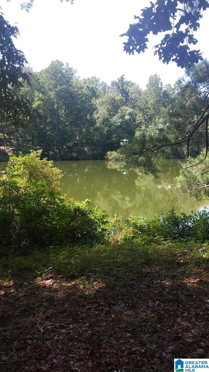 470 County Road 727 Montevallo, AL 35115 - Photo 3 of 4