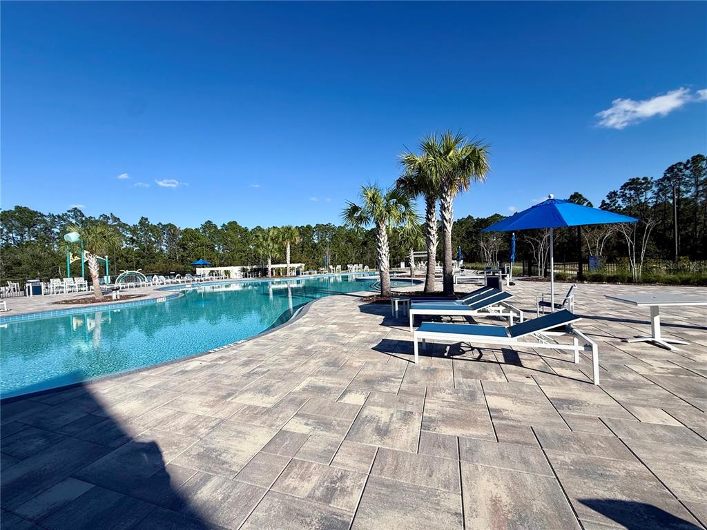 2731 House Finch Road Harmony, FL 34773 - Photo 77 of 85