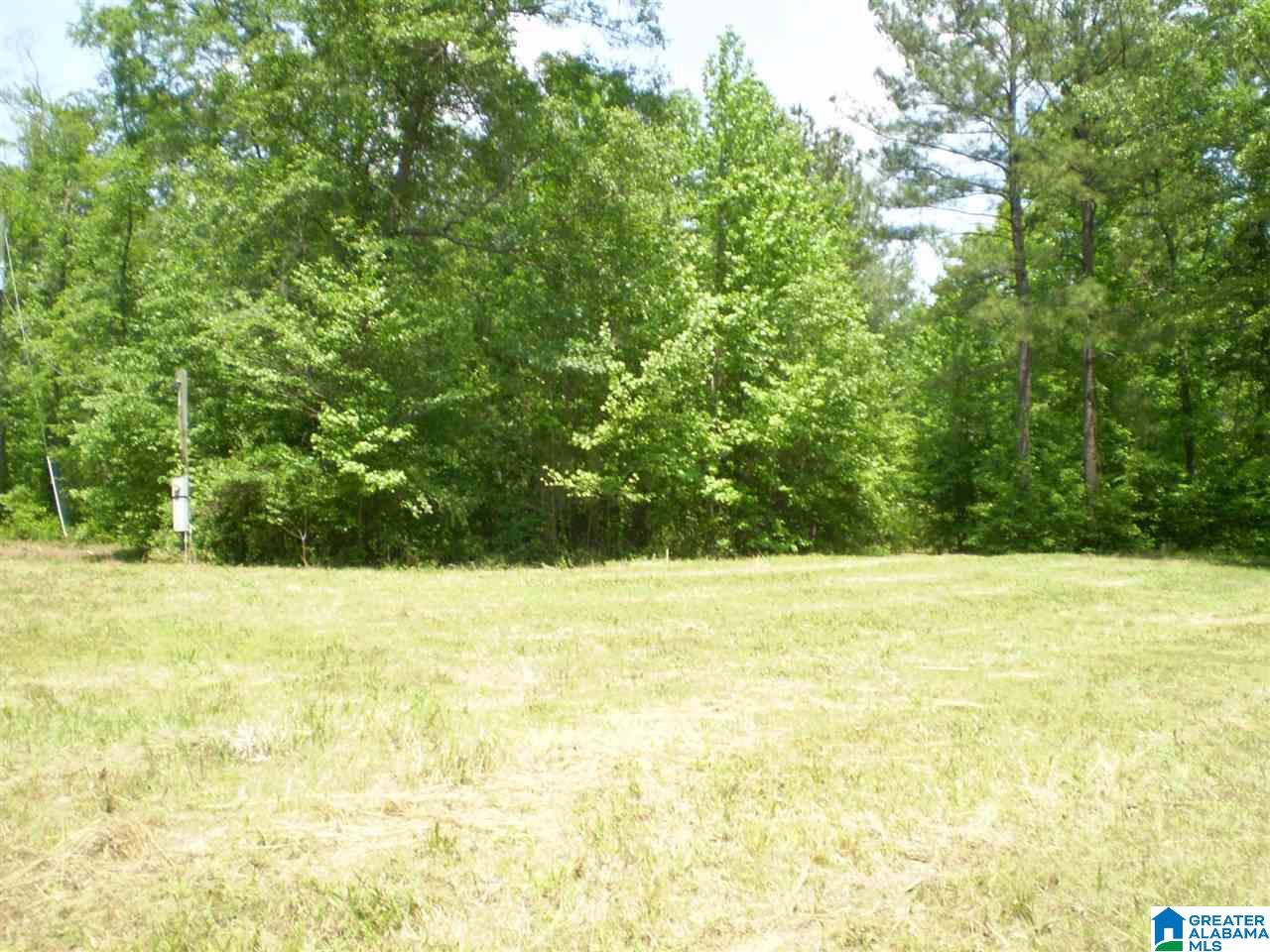 298 Waldrop Road, Unit TR 12 Ashville, AL 35953 - Photo 11 of 29