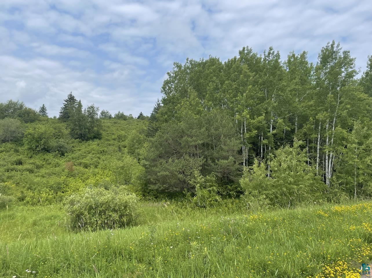 30-xx South River Road West South Range, WI 54874 - Photo 2 of 4 Gallery Image 2