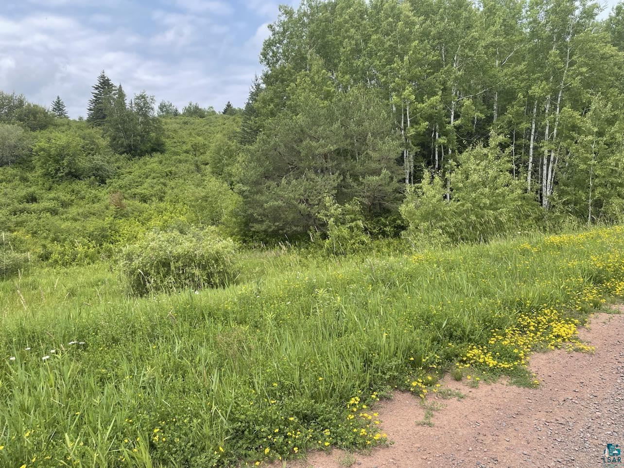 30-xx South River Road West South Range, WI 54874 - Photo 3 of 4 Gallery Image 3