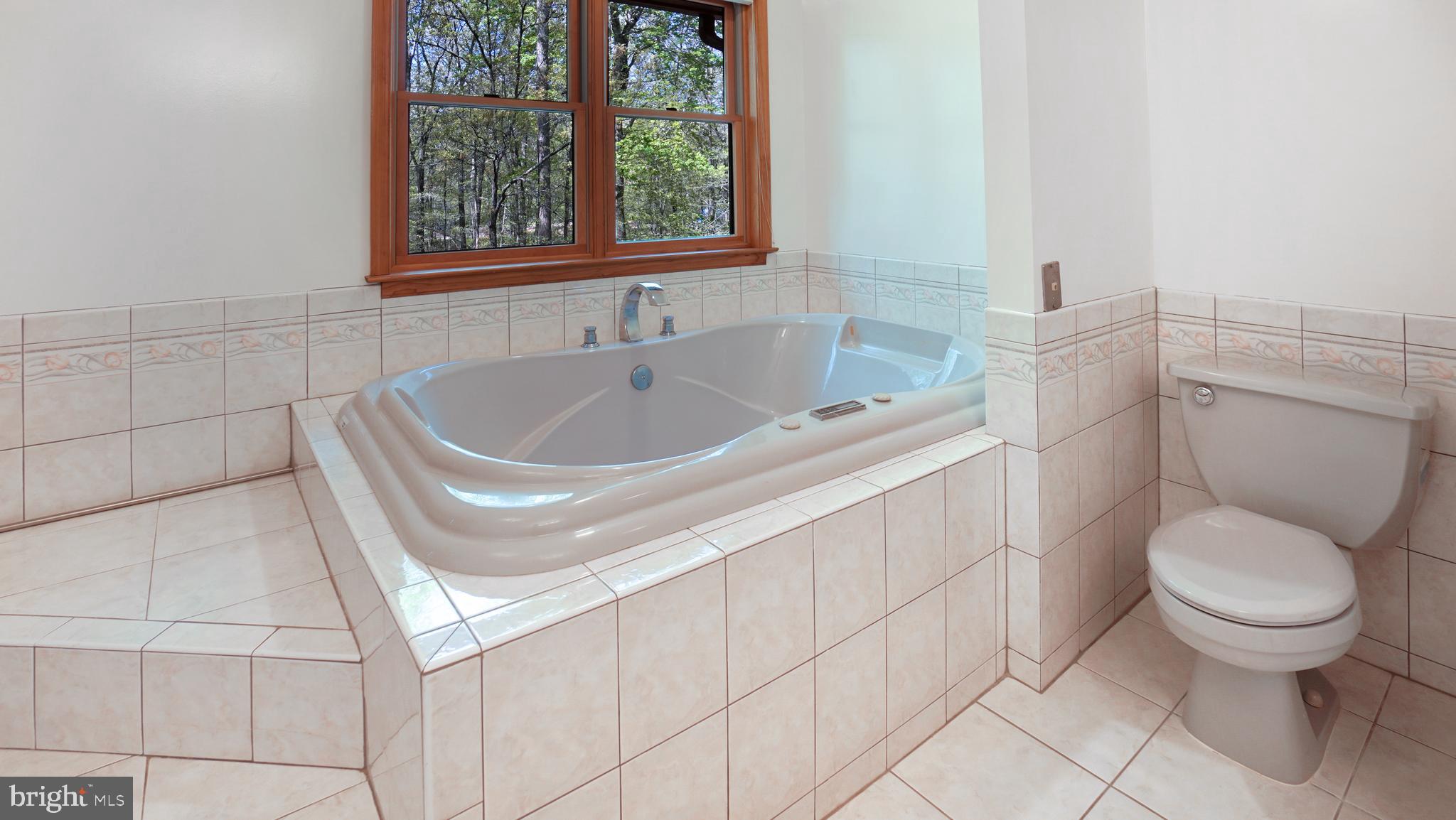 1459 Cedarhurst Road Shady Side, MD 20764 - Photo 27 of 40 Soaking Tube