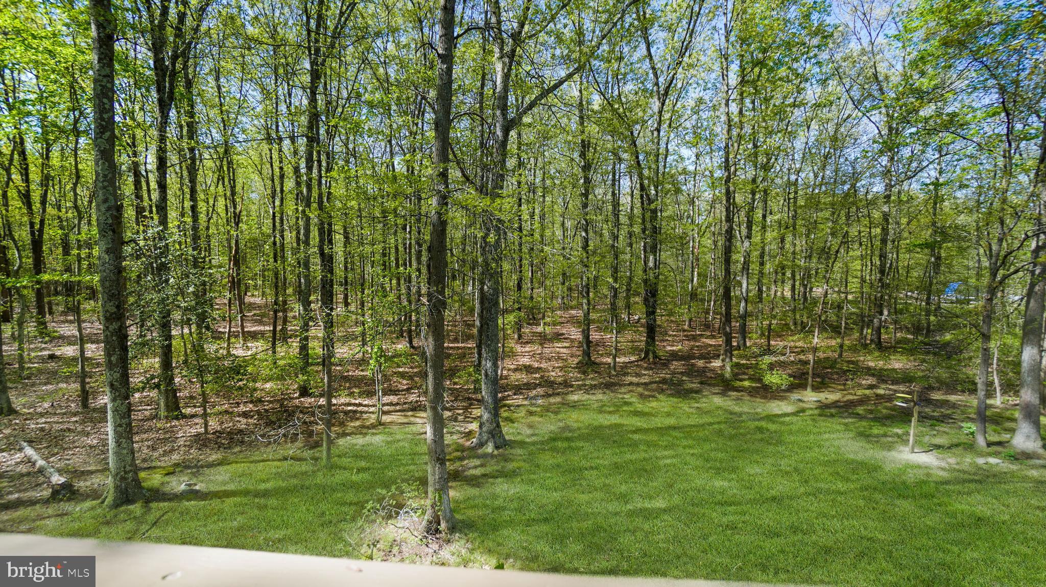 1459 Cedarhurst Road Shady Side, MD 20764 - Photo 36 of 40 Rear View.