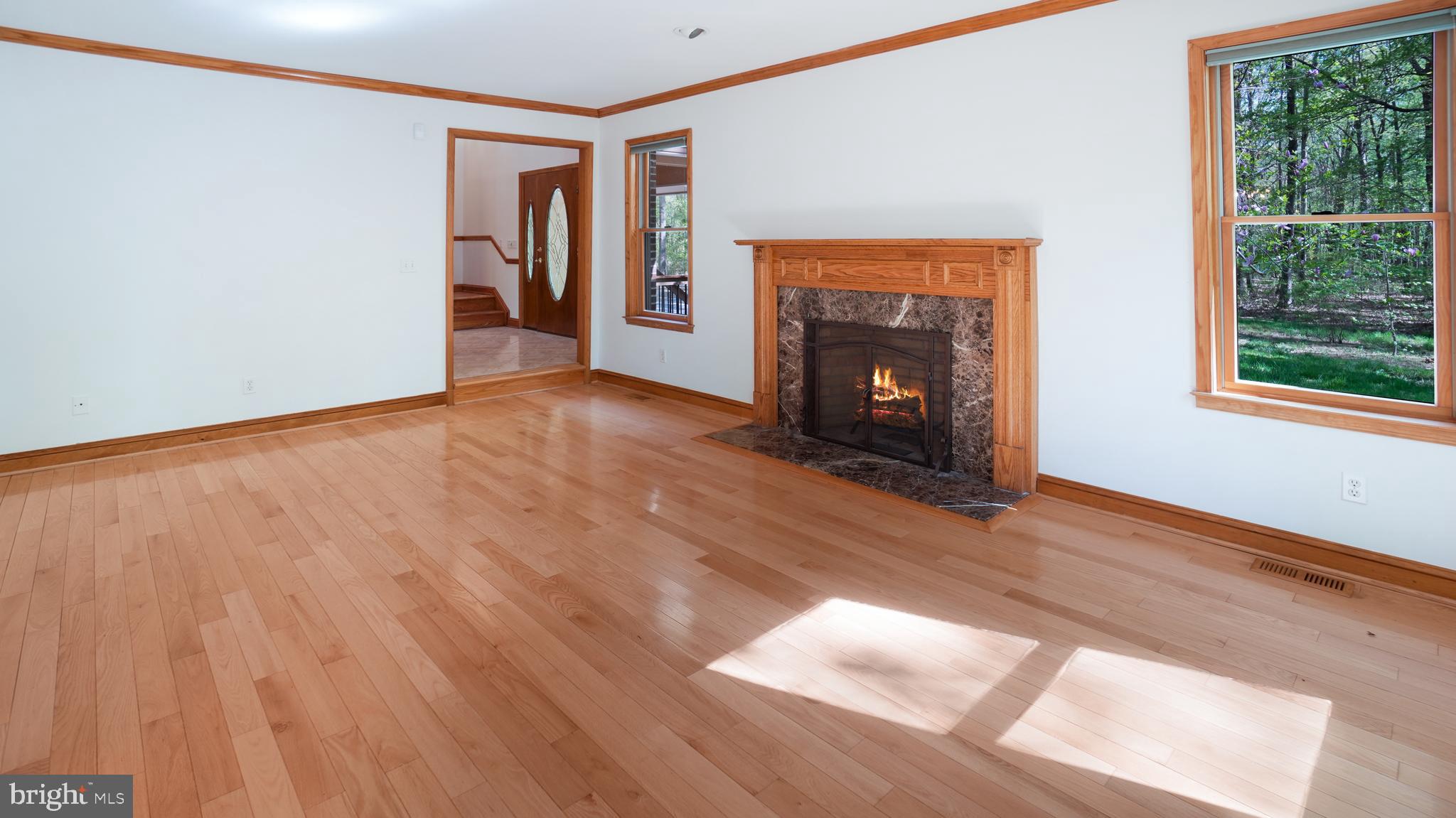 1459 Cedarhurst Road Shady Side, MD 20764 - Photo 5 of 40 Living Room- Wood-burning fireplace