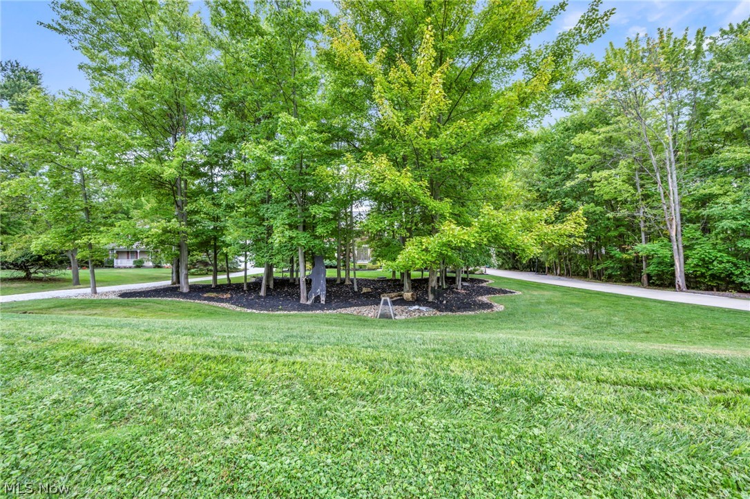 12105 Girdled Road Painesville, OH 44077 - Photo 8 of 50