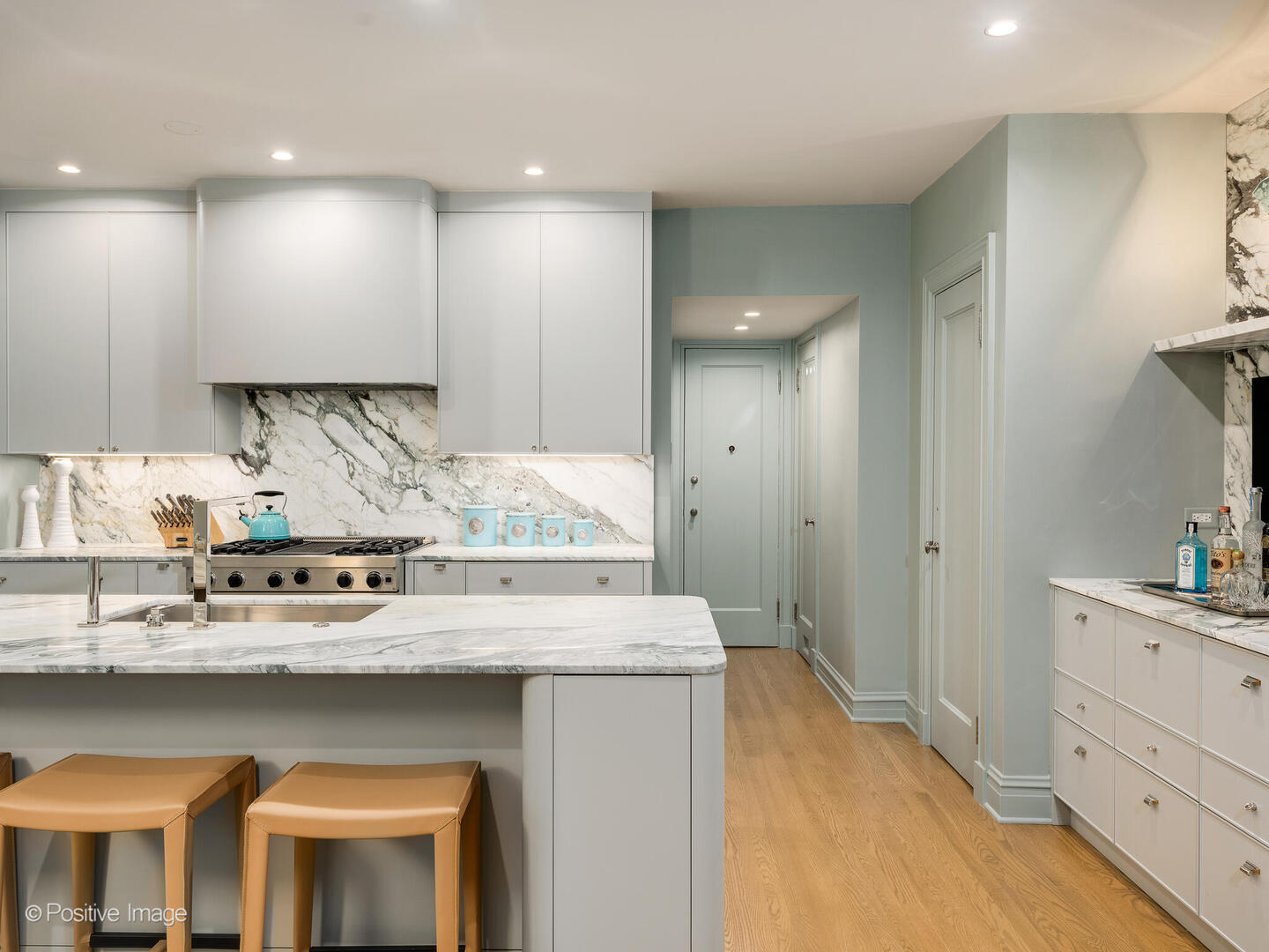 20 East Cedar Street, Unit 2D Chicago, IL 60611 - Photo 13 of 29