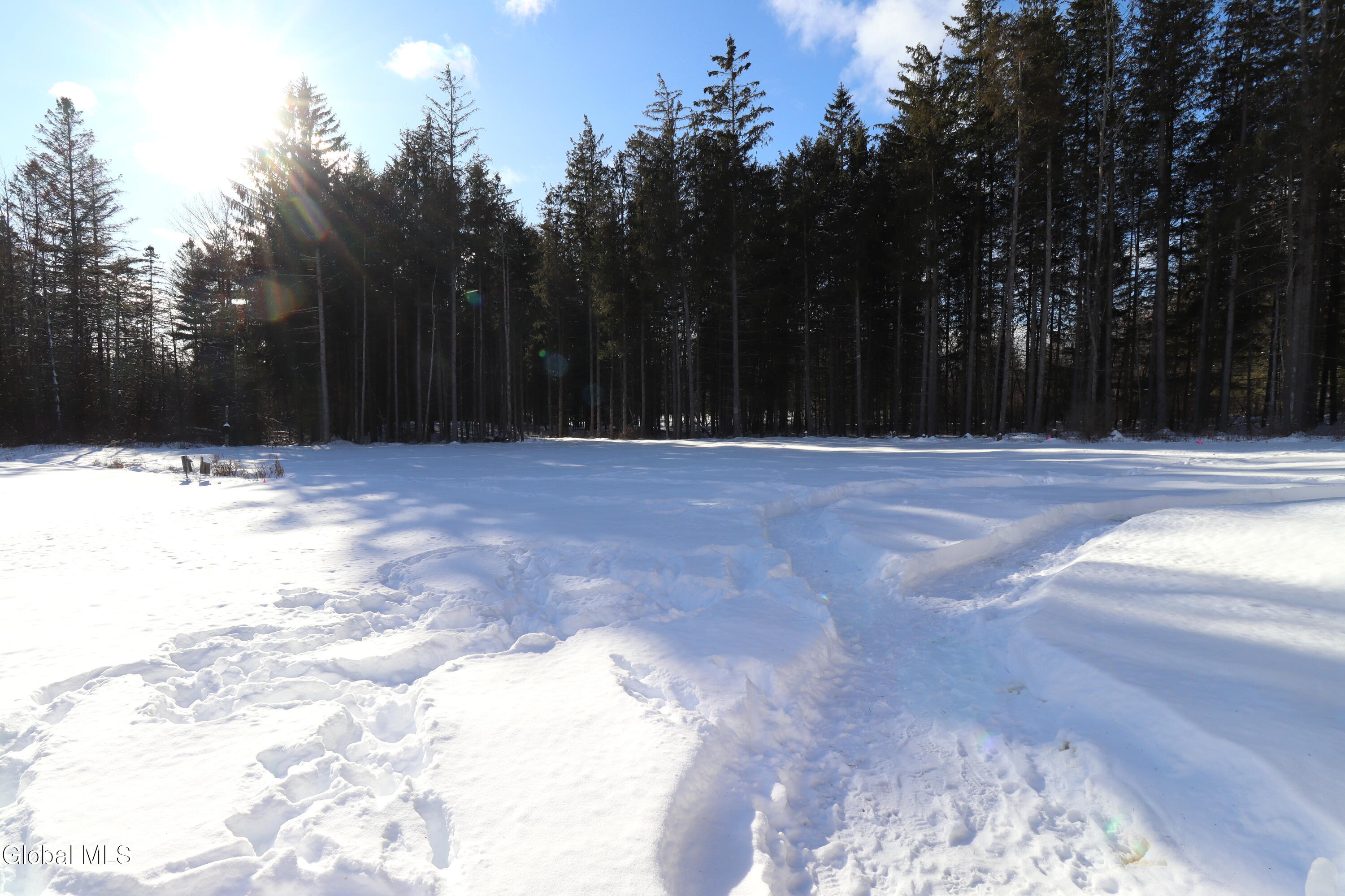 1200 Alexander Road Delanson, NY 12053 - Photo 40 of 60 IMG_8602