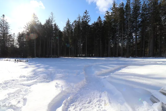 $524,900 | 1200 Alexander Road, Delanson, NY 12053