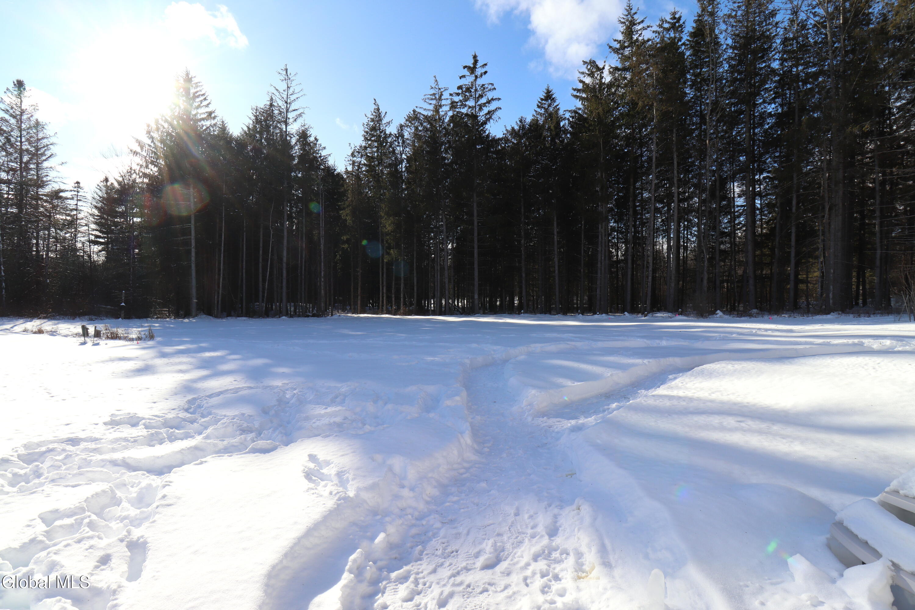 1200 Alexander Road Delanson, NY 12053 - Photo 41 of 60 IMG_8604