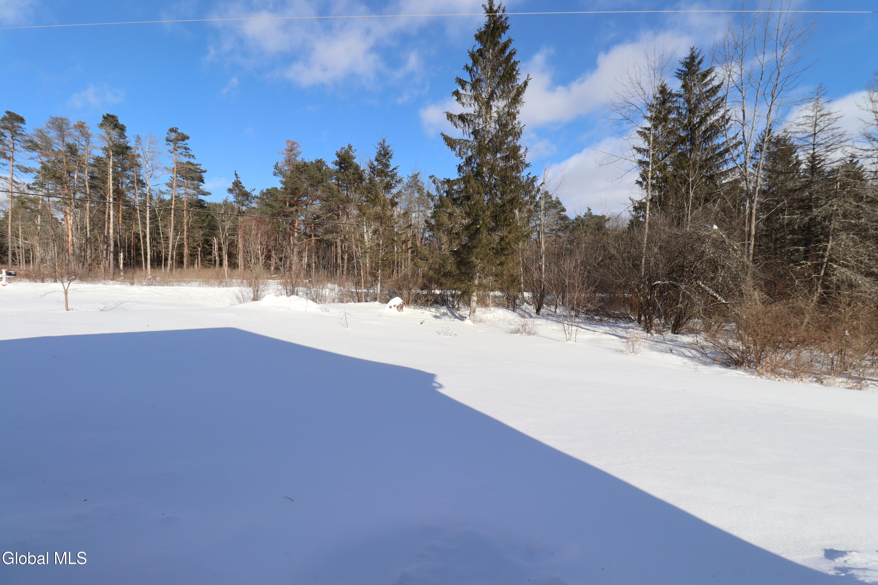 1200 Alexander Road Delanson, NY 12053 - Photo 44 of 60 IMG_8624