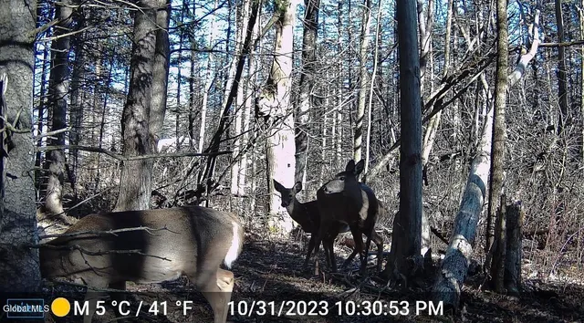 $524,900 | 1200 Alexander Road, Delanson, NY 12053