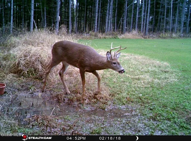 $524,900 | 1200 Alexander Road, Delanson, NY 12053