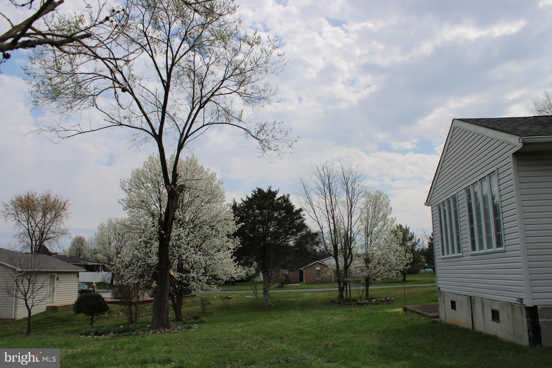 142 Braddock Boulevard Inwood, WV 25428 - Photo 30 of 36 a view of outdoor space yard and green space