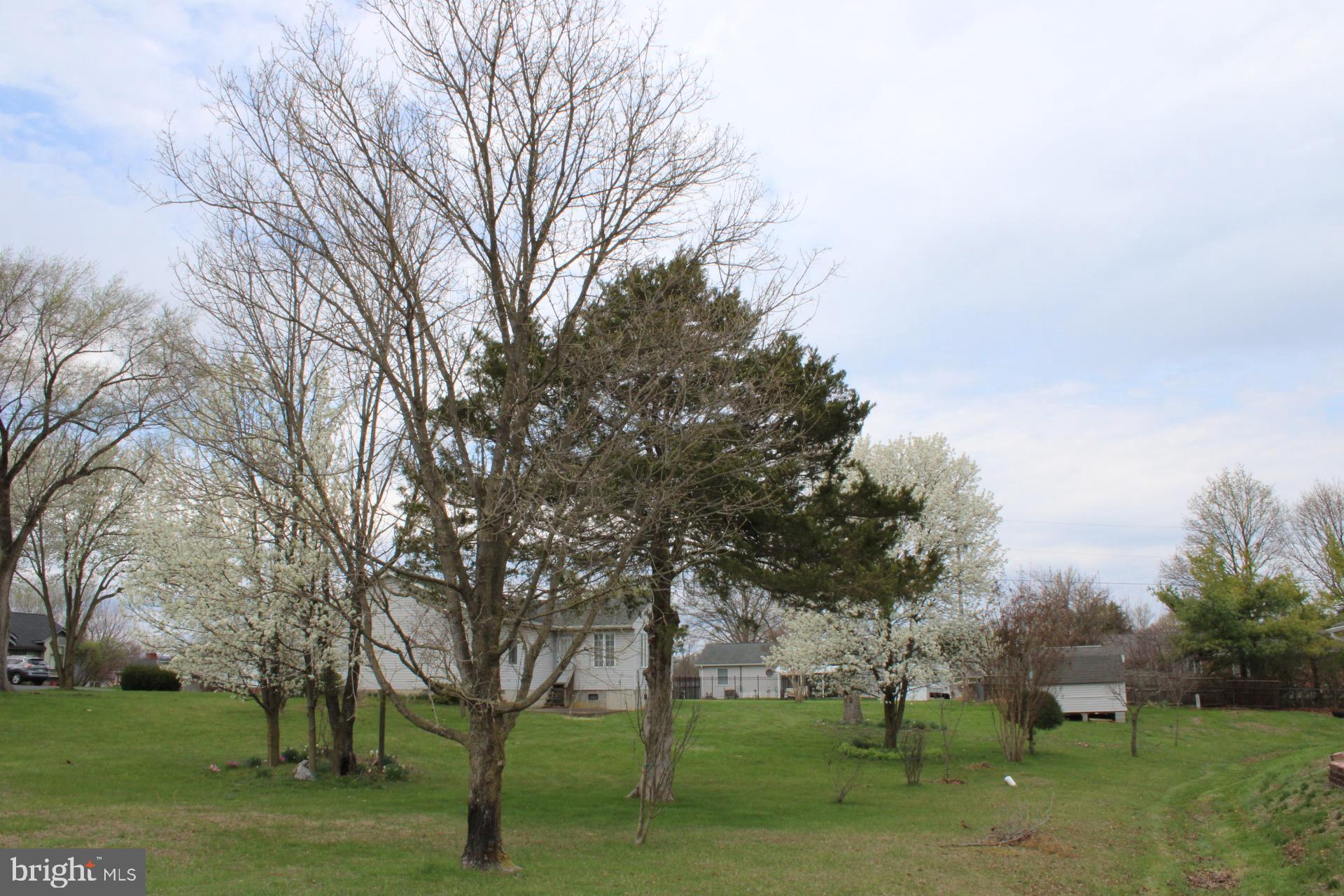 142 Braddock Boulevard Inwood, WV 25428 - Photo 35 of 36 a view of a park with large trees