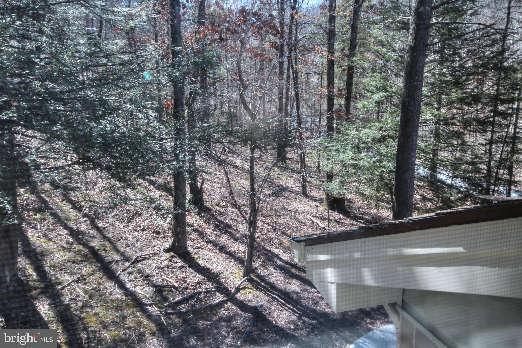 6010 Crooked Run Road Basye, VA 22810 - Photo 17 of 30