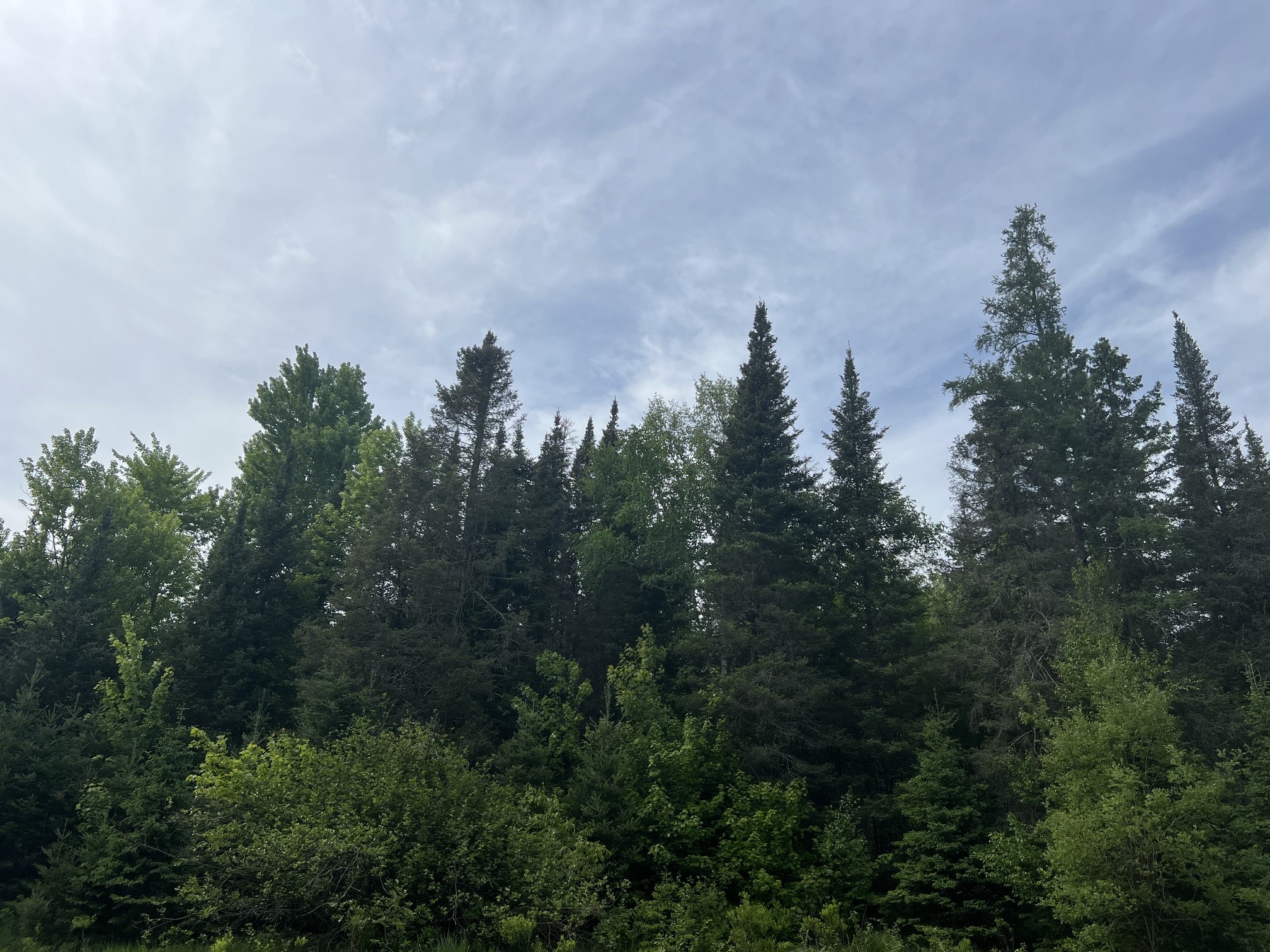 Lot 1 North Smith Road Couderay, WI 54828 - Photo 24 of 29