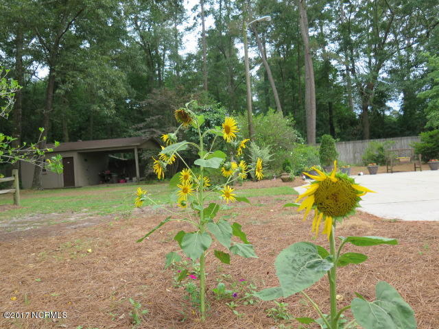 709 Dixie Road Clinton, NC 28328 - Photo 6 of 33 IMG_0766